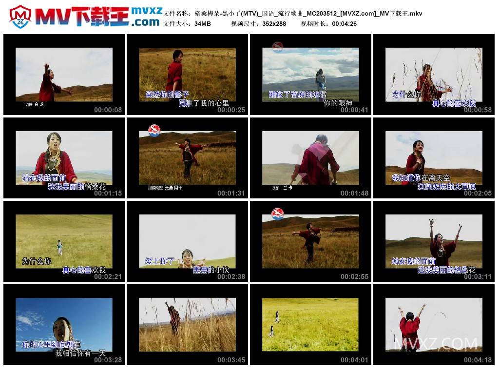 格桑梅朵-黑小子(MTV)_国语_流行歌曲_MC203512